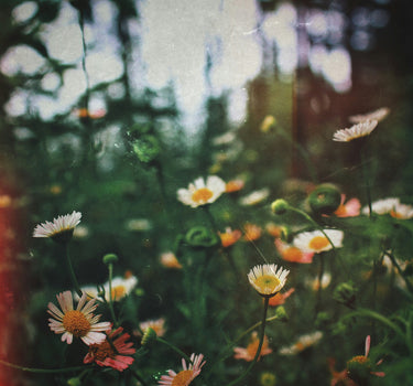 Forstå fosterdiagnostik: muligheder og valg