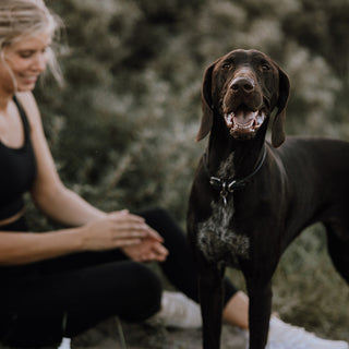 Motion og gode vaner - sådan holder du motivationen